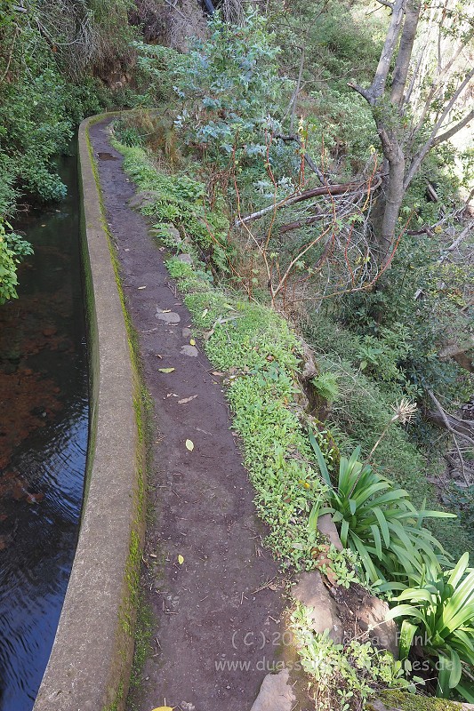 Levada Wanderung Funchal Madeira
