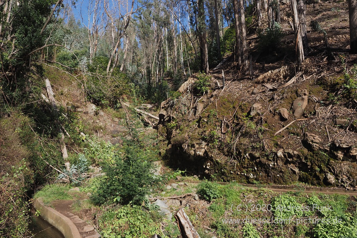 Levada Wanderung Funchal Madeira