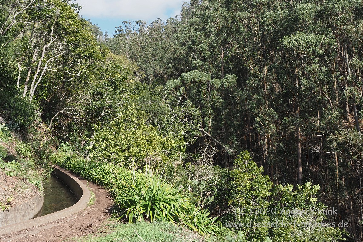Levada Wanderung Funchal Madeira