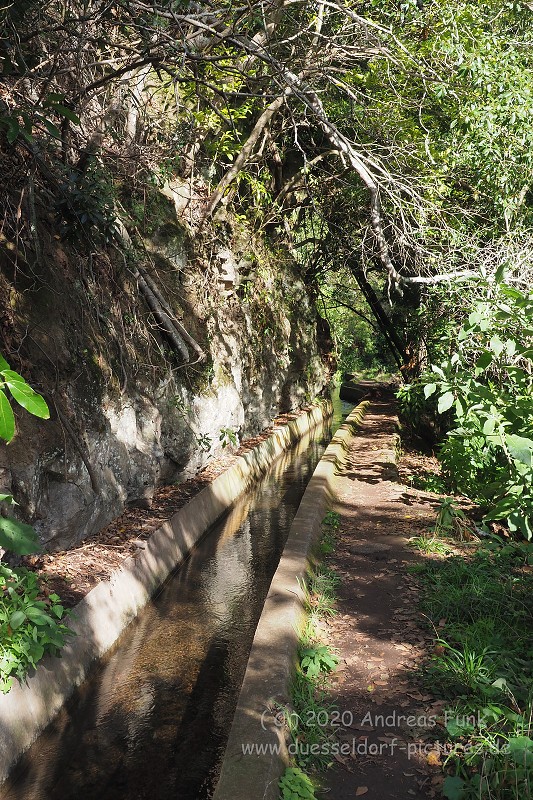 Levada Wanderung Funchal Madeira