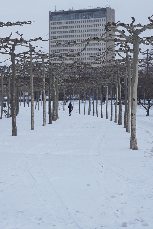 Düsseldorf Schnee Hochwasser 8.2.2021