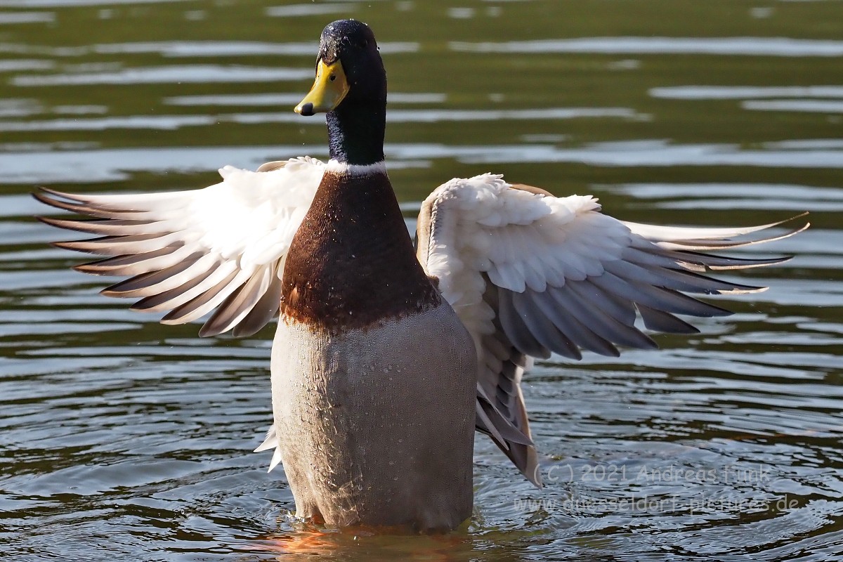 Düsseldorf im Zoopark 7.3.2021