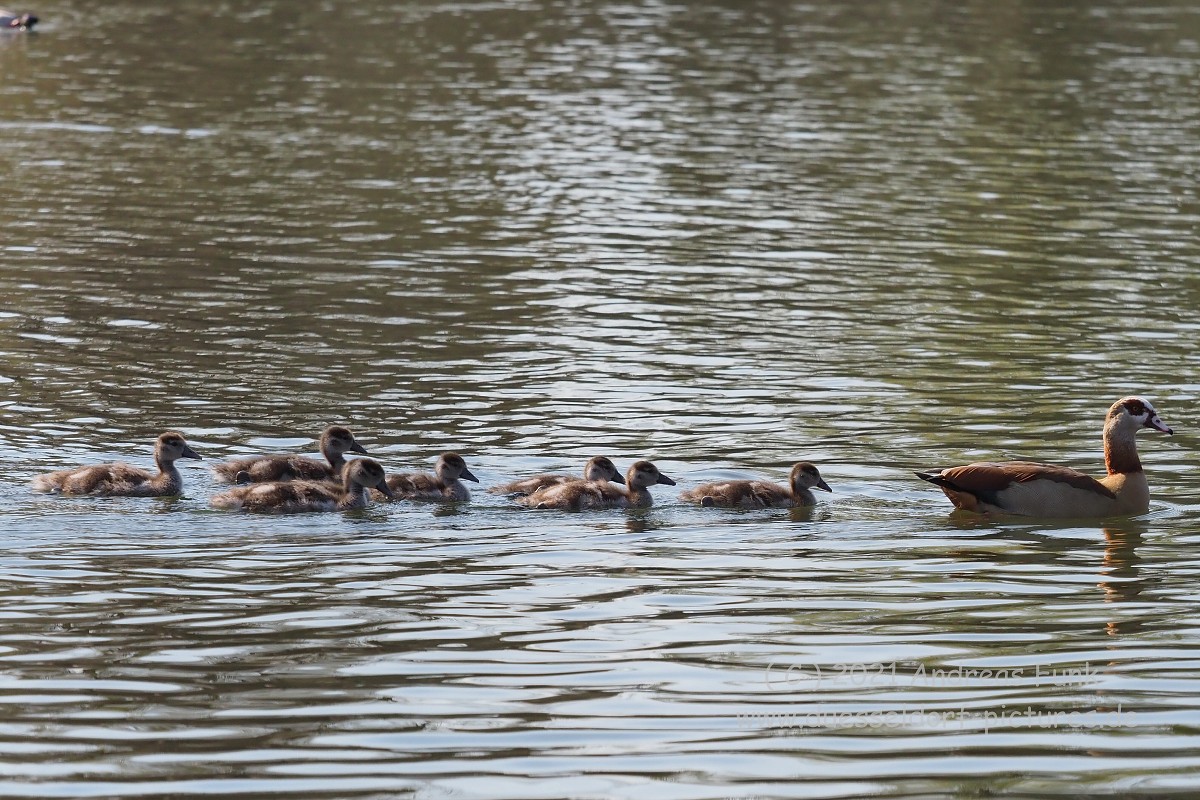 Düsseldorf im Zoopark 7.3.2021