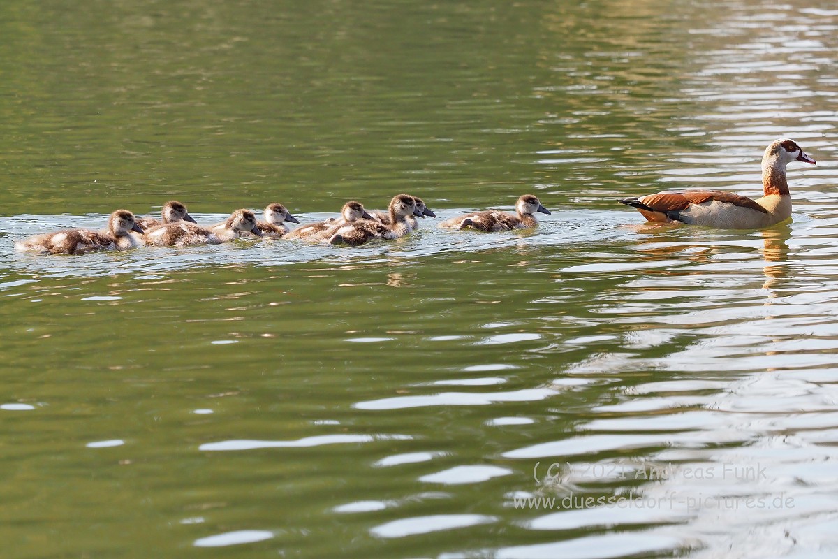 Düsseldorf im Zoopark 7.3.2021