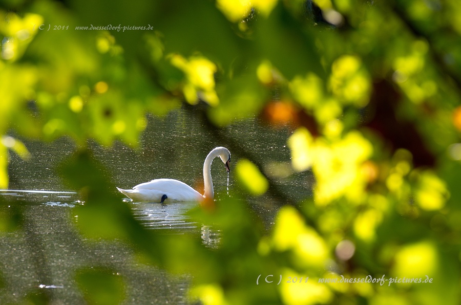 Düsseldorf Benrath Schloßpark