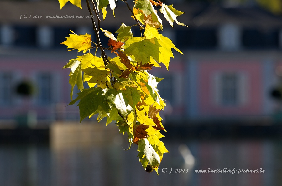 Düsseldorf Benrath Schloßpark