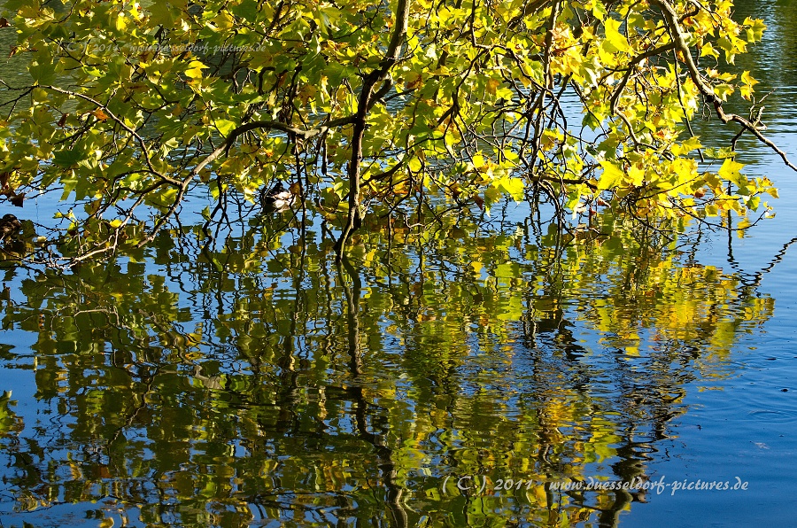 Düsseldorf Benrath Schloßpark