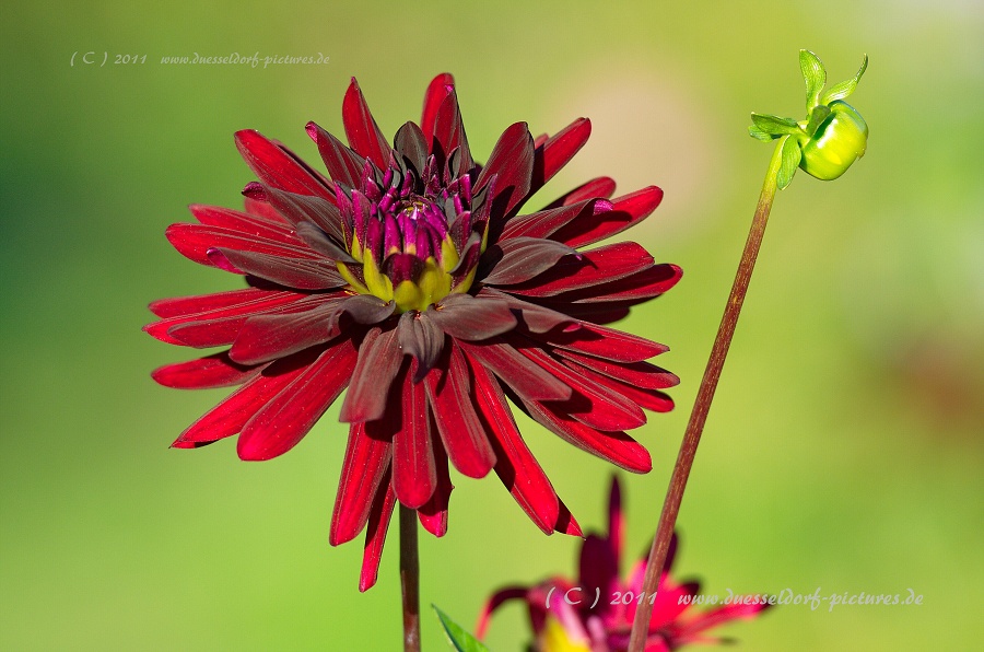 Düsseldorf Benrath Schloßpark